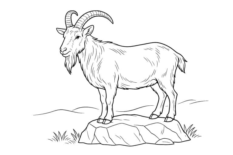 Bauernhoftiere Ausmalbild ab 11 Jahre - Ziegenbock auf einem Felsen