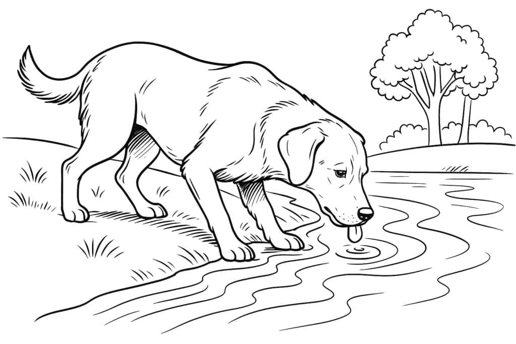 Hunde Ausmalbild ab 11 Jahre - Hund am Flussufer