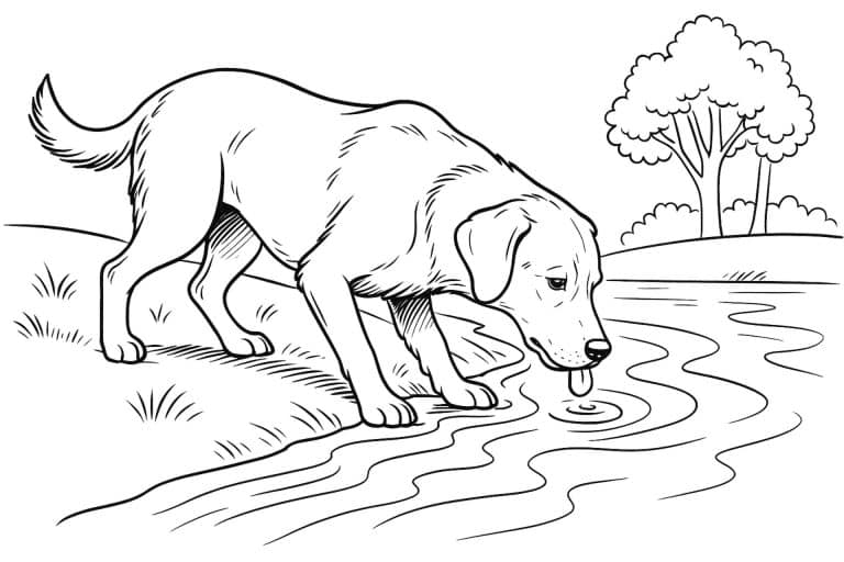 Hunde Ausmalbild ab 11 Jahre - Hund am Flussufer