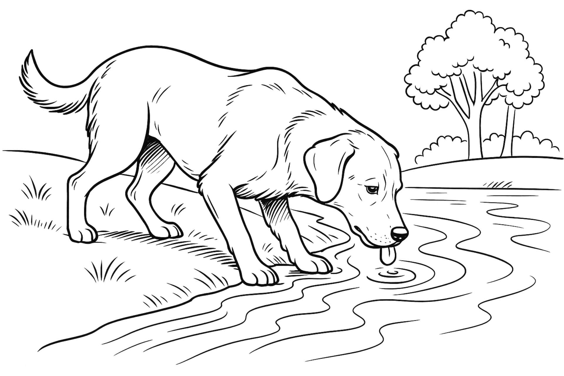 Hunde Ausmalbild ab 11 Jahre - Hund am Flussufer