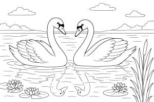 Vögel Ausmalbild ab 11 Jahre - Schwanenpaar auf einem See