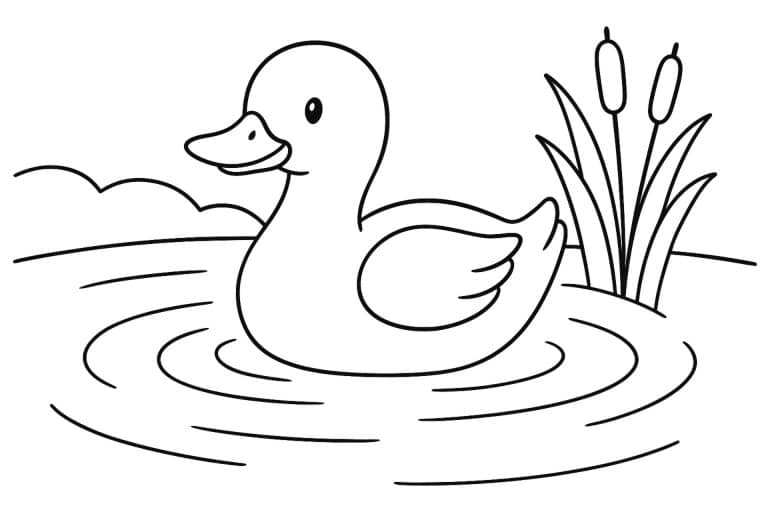 Bauernhoftiere Ausmalbild ab 4 Jahre - Ente am Teich