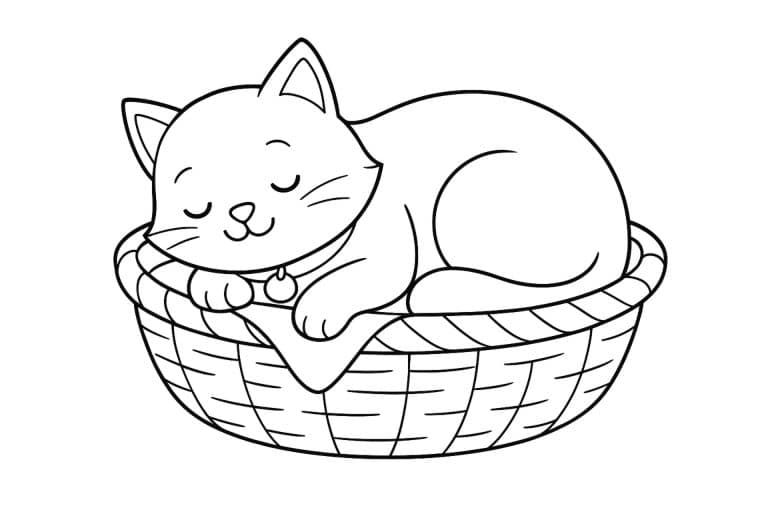 Katzen Ausmalbild ab 4 Jahre - Schlafende Katze im Körbchen
