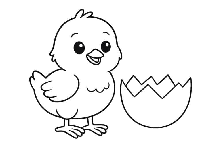 Vögel Ausmalbild ab 4 Jahre - Küken neben einem Ei