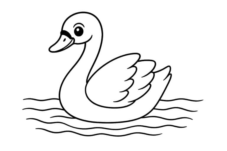 Vögel Ausmalbild ab 4 Jahre - Schwan im Wasser