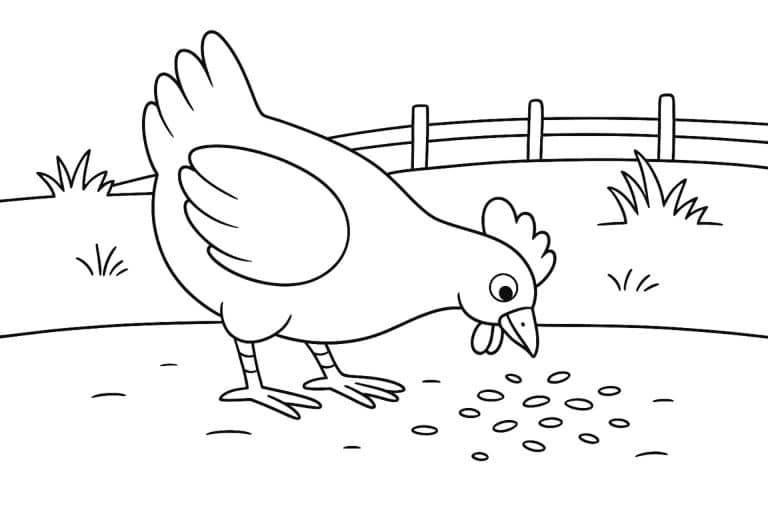 Bauernhoftiere Ausmalbild ab 6 Jahre - Huhn pickt Körner