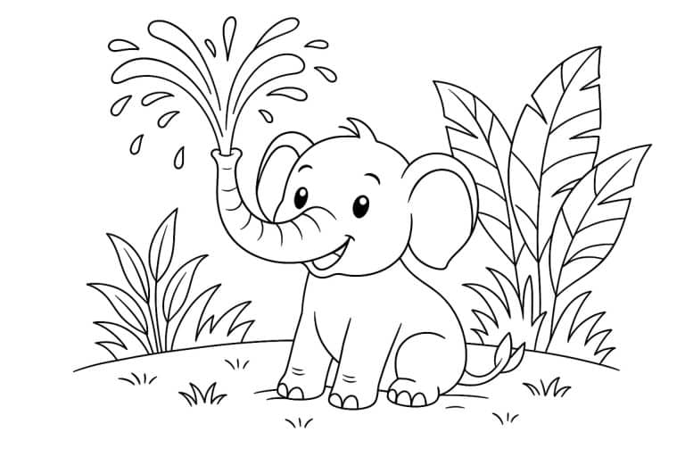 Dschungeltiere Ausmalbild ab 6 Jahre - Elefant mit Wasserfontäne