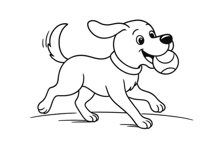 Hunde Ausmalbild ab 6 Jahre - Hund beim Apportieren