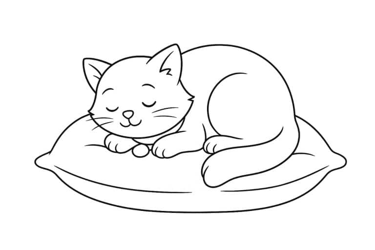 Katzen Ausmalbild ab 6 Jahre - Katze schläft auf einem Kissen