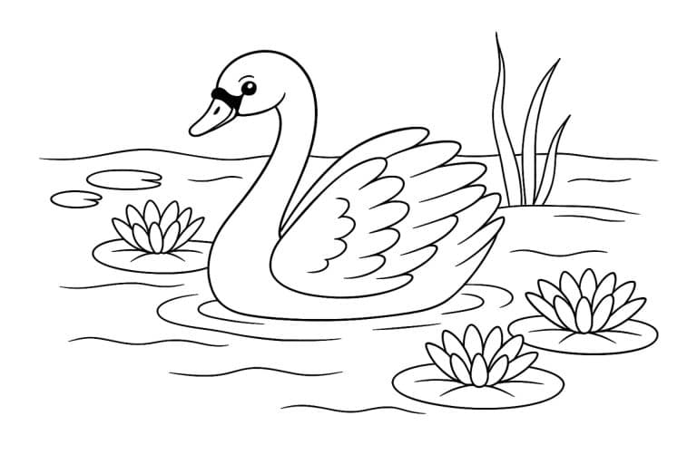 Vögel Ausmalbild ab 6 Jahre - Schwan mit Seerosen