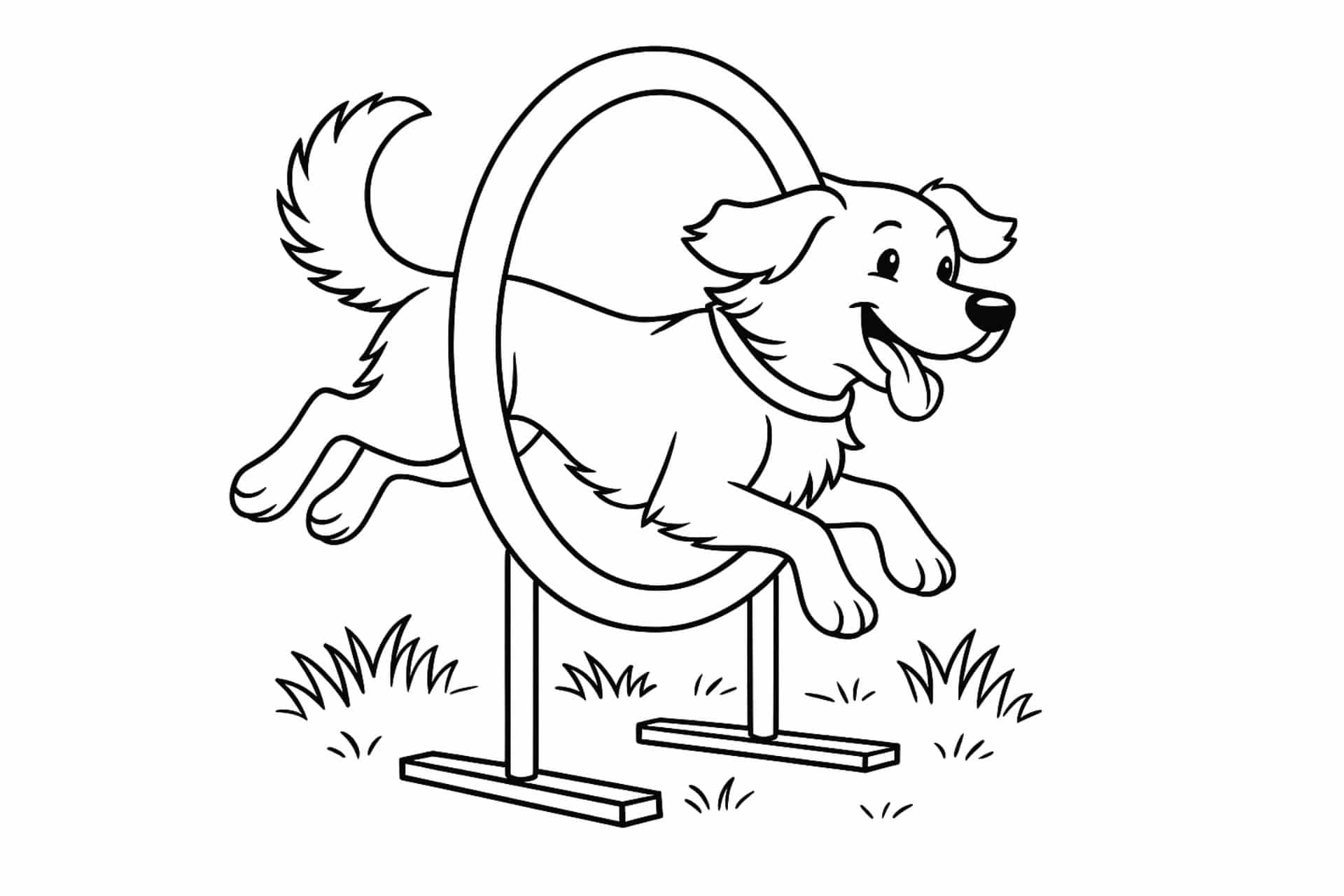 Hunde Ausmalbild ab 8 Jahre - Hund springt durch einen Reifen
