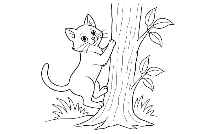 Katzen Ausmalbild ab 8 Jahre - Katze klettert auf einen Baum