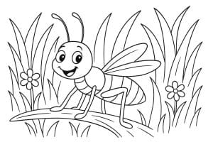 Insekten Ausmalbild ab 4 Jahre - Grashüpfer im Gras