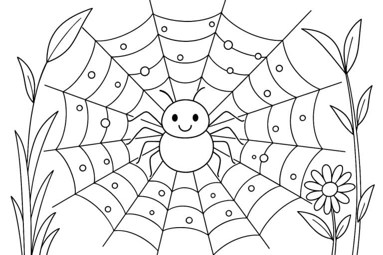 Insekten Ausmalbild ab 6 Jahre - Spinne mit Netz im Morgentau