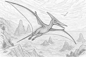 Pteranodon über Küstenlandschaft – Ausmalbild ab 11 Jahren