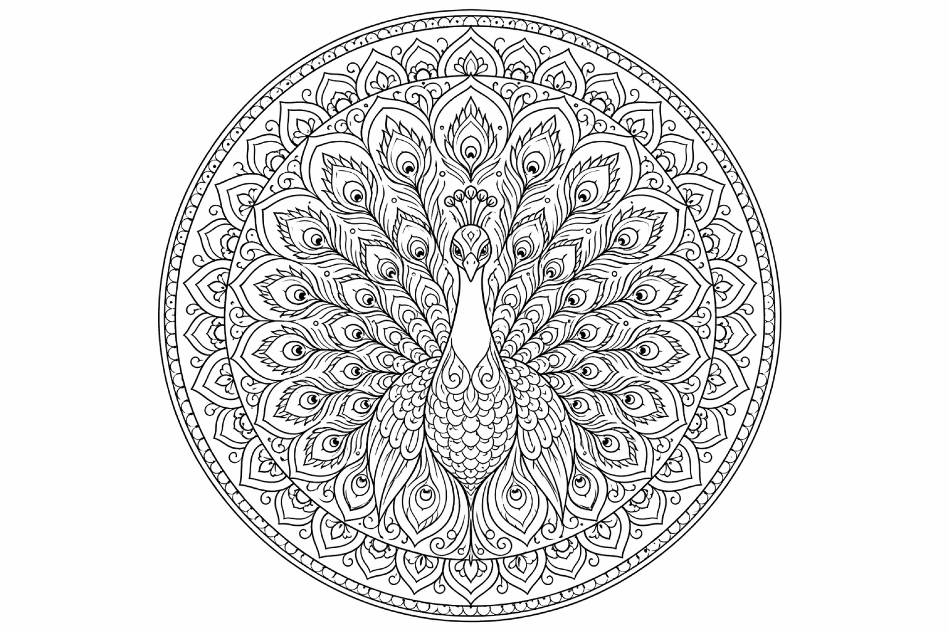 Pfauenfeder-Mandala - Ausmalbild ab Erwachsene