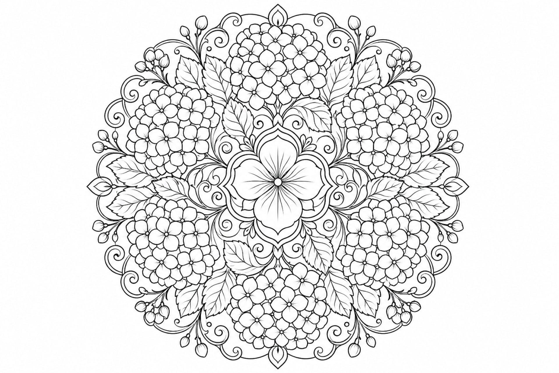 Hortensien Mandala - Ausmalbild ab Erwachsene