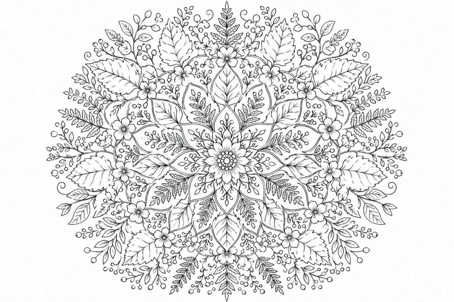 Natur Mandalas Ausmalbilder Erwachsene