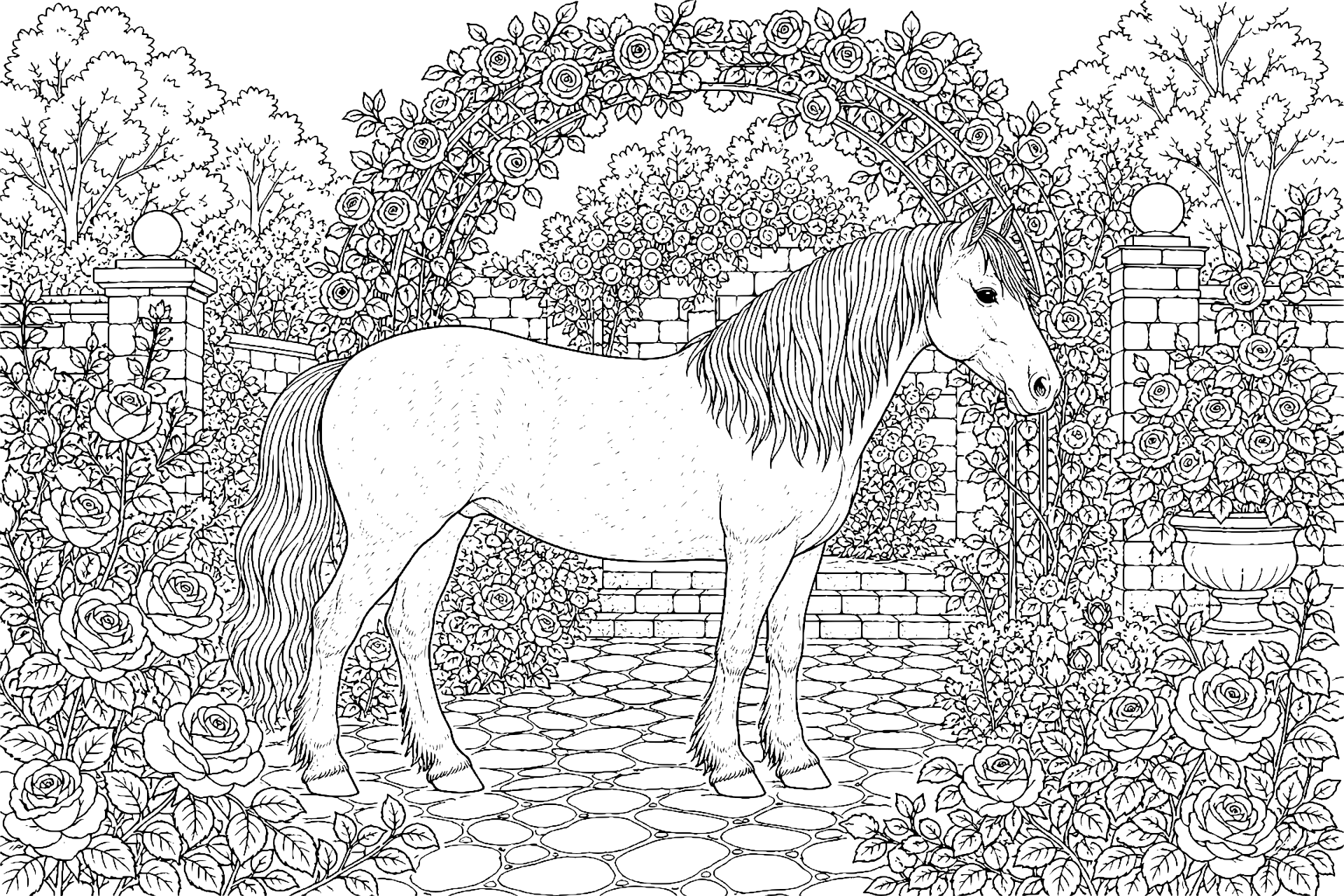 Elegantes Pony im englischen Rosengarten - Ausmalbild