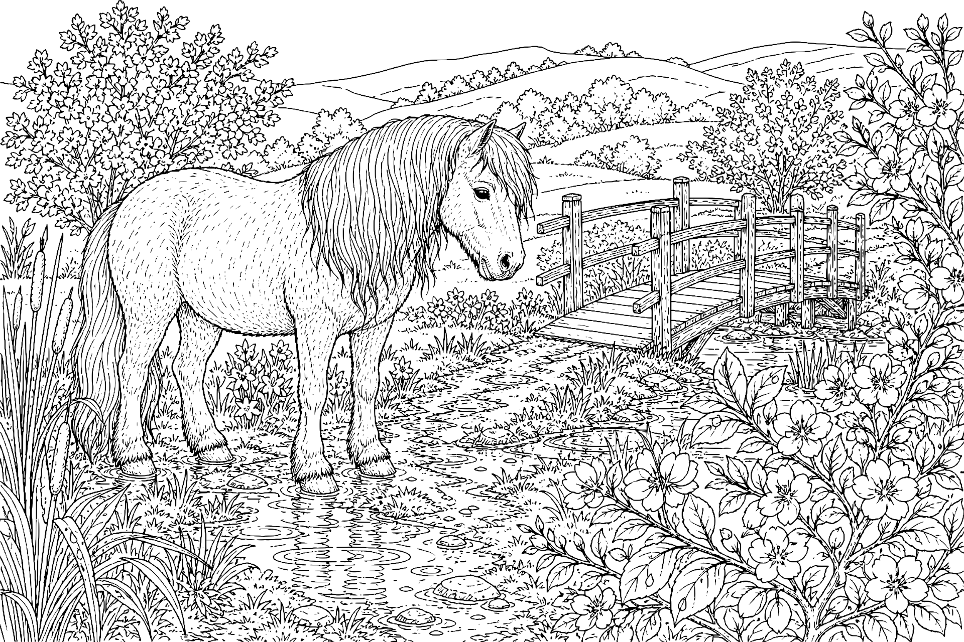 Pony im Frühlingsregen - Ausmalbild