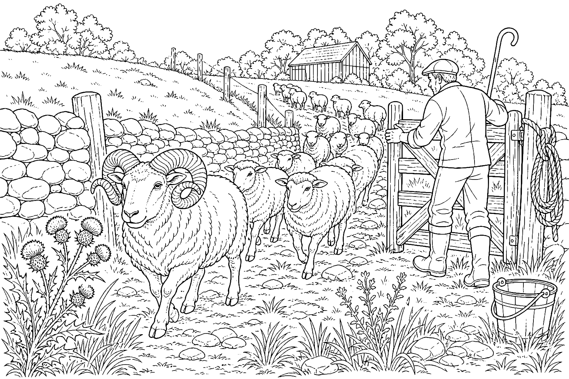 Bauernhoftiere Ausmalbild ab 11 Jahre - Widder führt die Herde am Steinwall - Ausmalbild ab 11 Jahren