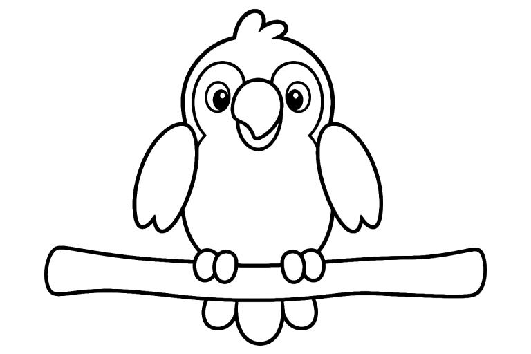 Vögel Ausmalbild ab 2 Jahre – Freundlicher Papagei - Ausmalbild ab 2 Jahren