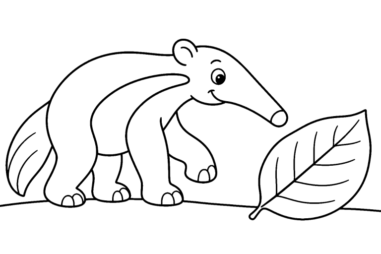 Dschungeltiere Ausmalbild ab 4 Jahre - Ameisenbär mit einem Blatt - Ausmalbild ab 4 Jahren