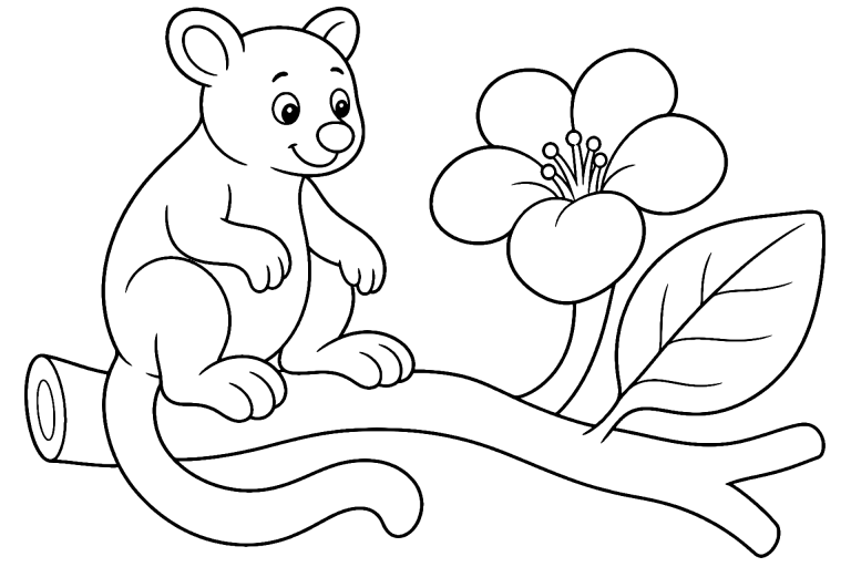 Dschungeltiere Ausmalbild ab 4 Jahre - Baumkänguru mit Blüte - Ausmalbild ab 4 Jahren