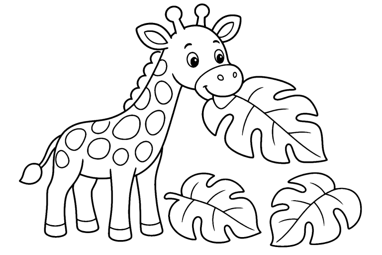 Dschungeltiere Ausmalbild ab 4 Jahre - Giraffe beim Blätterknabbern - Ausmalbild ab 4 Jahren