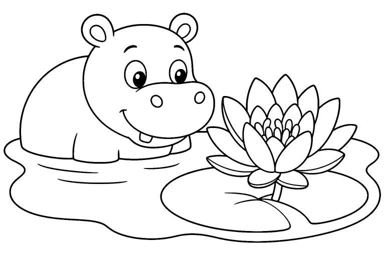 Dschungeltiere Ausmalbild ab 4 Jahre - Nilpferd mit Seerose - Ausmalbild ab 4 Jahren