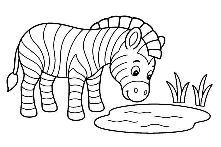 Dschungeltiere Ausmalbild ab 4 Jahre - Zebra an der Wasserstelle - Ausmalbild ab 4 Jahren