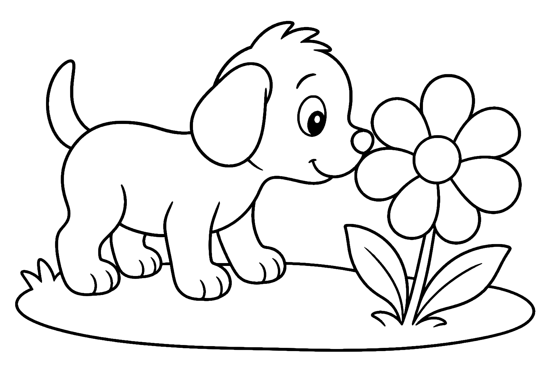 Welpe entdeckt eine Blume