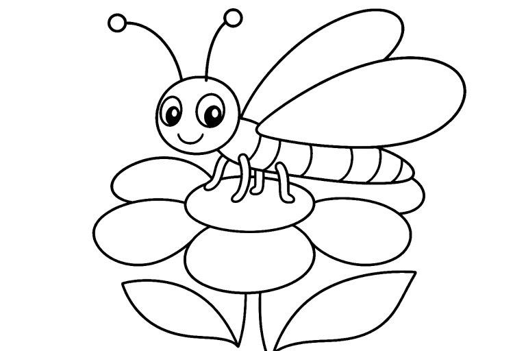 Insekten Ausmalbild ab 4 Jahre – Florfliege auf einer Blume - Ausmalbild ab 4 Jahren