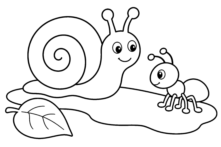 Insekten Ausmalbild ab 4 Jahre – Schnecke neben einer Ameise - Ausmalbild ab 4 Jahren