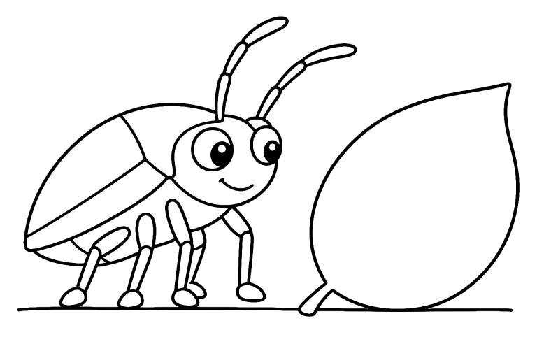 Insekten Ausmalbild ab 4 Jahre – Wanze mit einem Blatt - Ausmalbild ab 4 Jahren