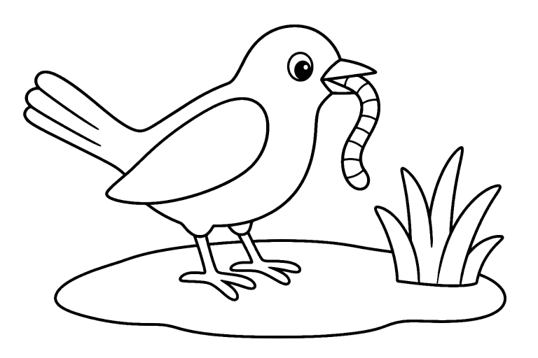 Vögel Ausmalbild ab 4 Jahre - Amsel mit Regenwurm - Ausmalbild ab 4 Jahren