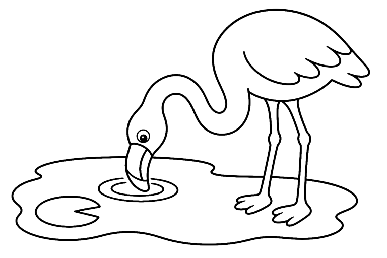 Vögel Ausmalbild ab 4 Jahre - Flamingo am Teich - Ausmalbild ab 4 Jahren