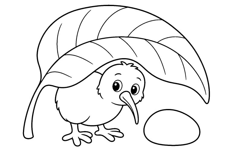 Vögel Ausmalbild ab 4 Jahre - Kiwi mit Blatt - Ausmalbild ab 4 Jahren