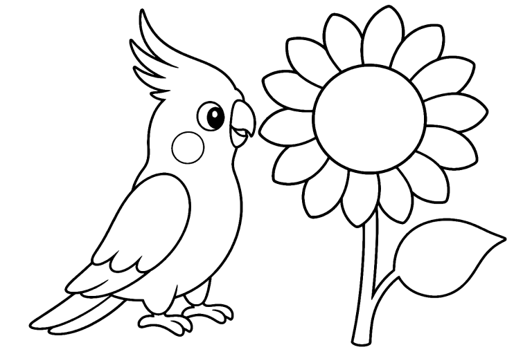 Vögel Ausmalbild ab 4 Jahre - Nymphensittich mit Sonnenblume - Ausmalbild ab 4 Jahren