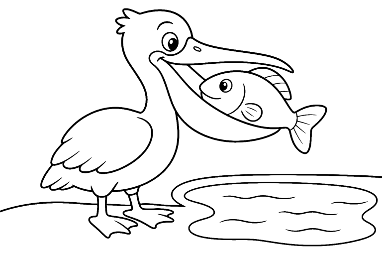 Vögel Ausmalbild ab 4 Jahre - Pelikan mit Fisch - Ausmalbild ab 4 Jahren