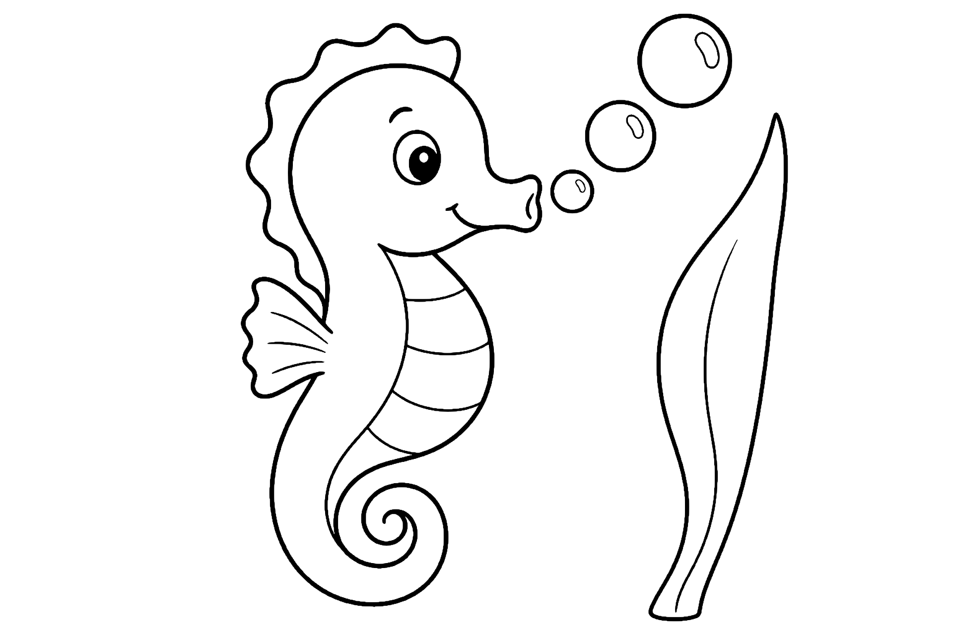 Seepferdchen mit Seifenblasen