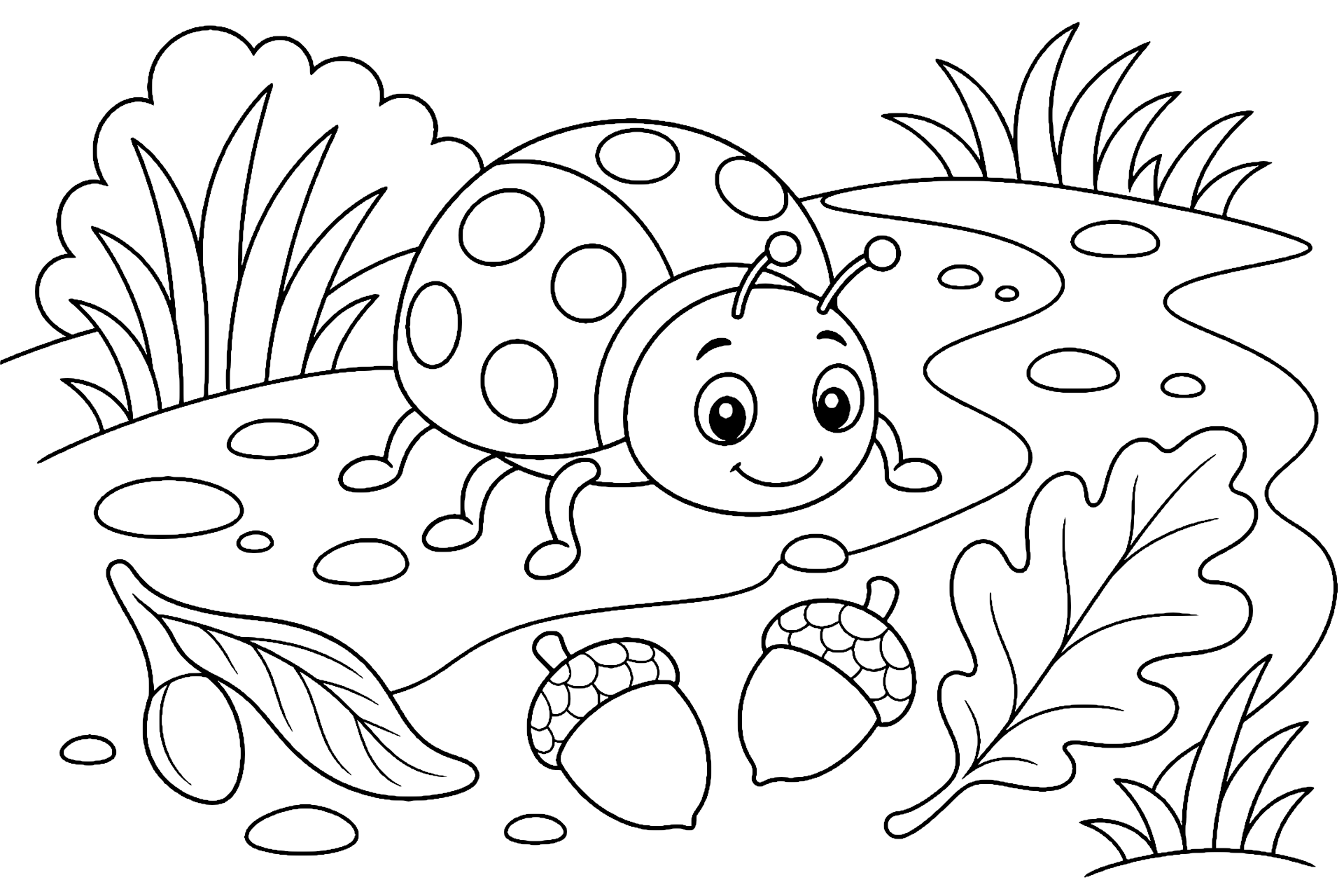 Käfer auf dem Waldweg – Ausmalbild für Kinder ab 6 Jahren - Ausmalbild ab 6 Jahren