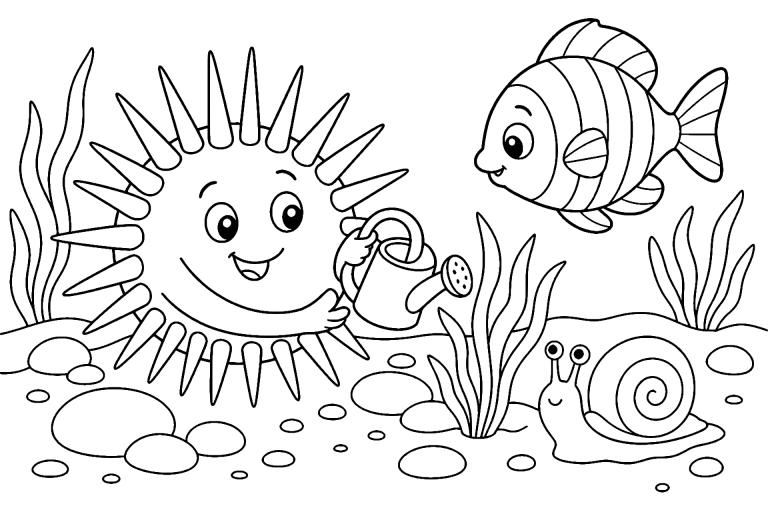 Meerestiere Ausmalbild ab 6 Jahre - Seeigel als Gartenmeister - Ausmalbild ab 6 Jahren