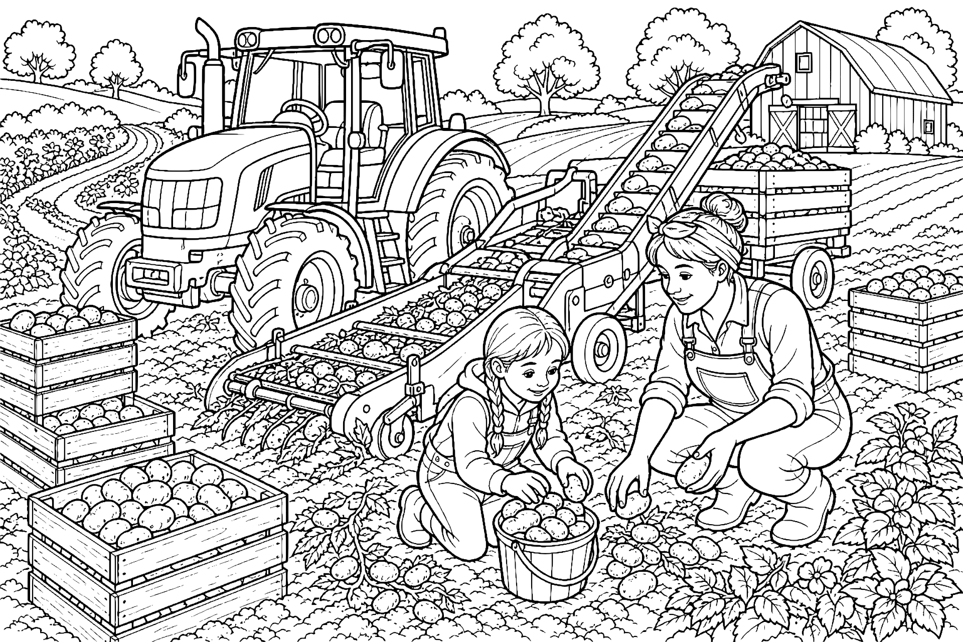 Traktor bei der Kartoffelernte