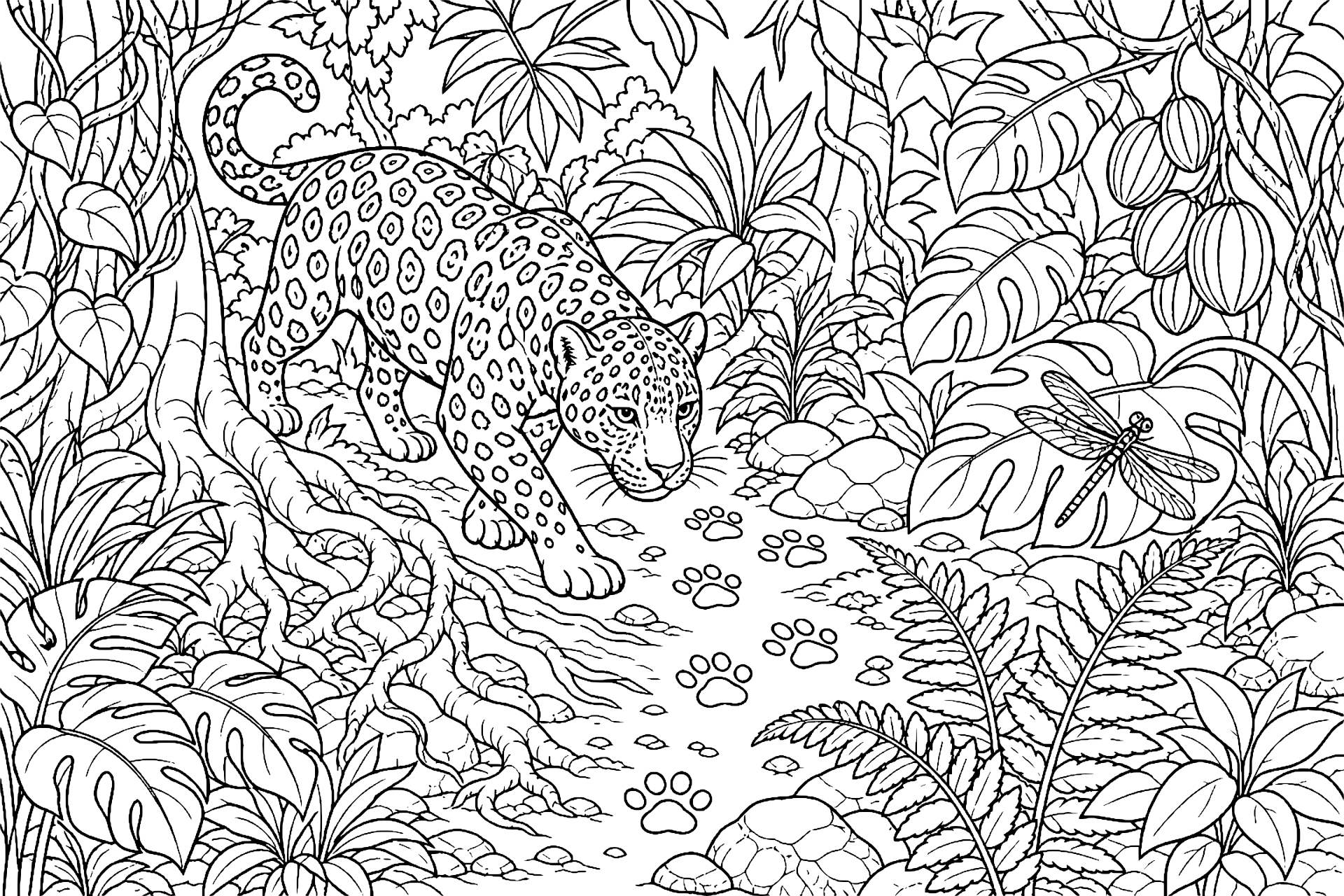 Dschungeltiere Ausmalbild ab 8 Jahre - Jaguar auf der Spurensuche - Ausmalbild ab 8 Jahren