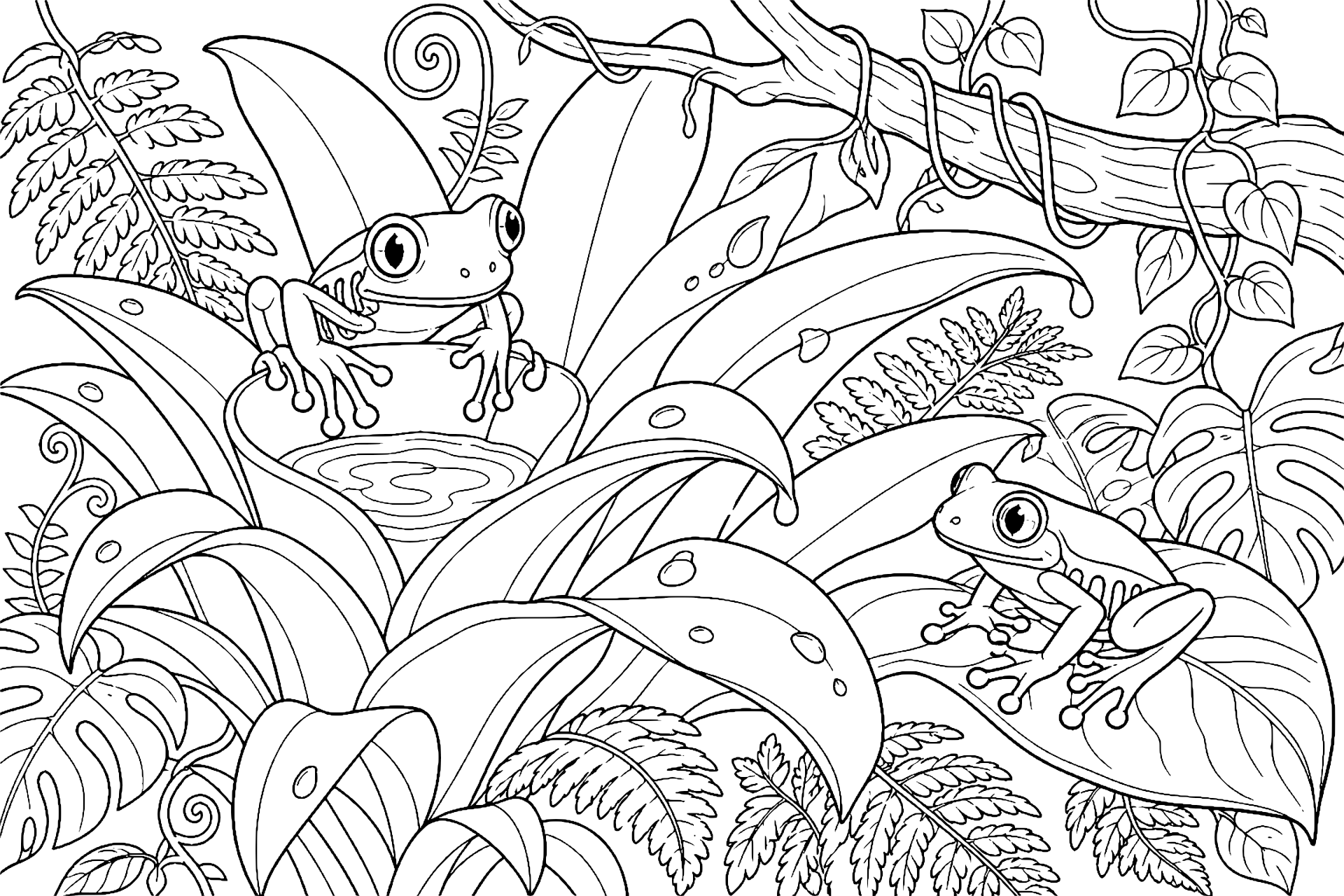 Dschungeltiere Ausmalbild ab 8 Jahre - Rotaugenfrosch am Bromelienbecken - Ausmalbild ab 8 Jahren