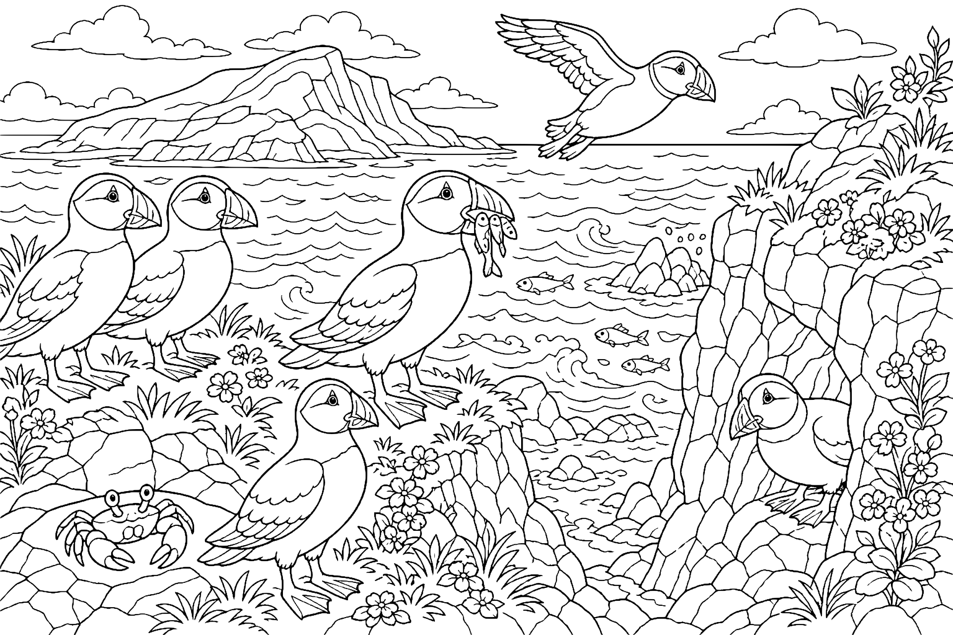 Vögel Ausmalbild ab 8 Jahre - Papageientaucher an der Klippe - Ausmalbild ab 8 Jahren